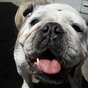 Meet your Posher, Jodi